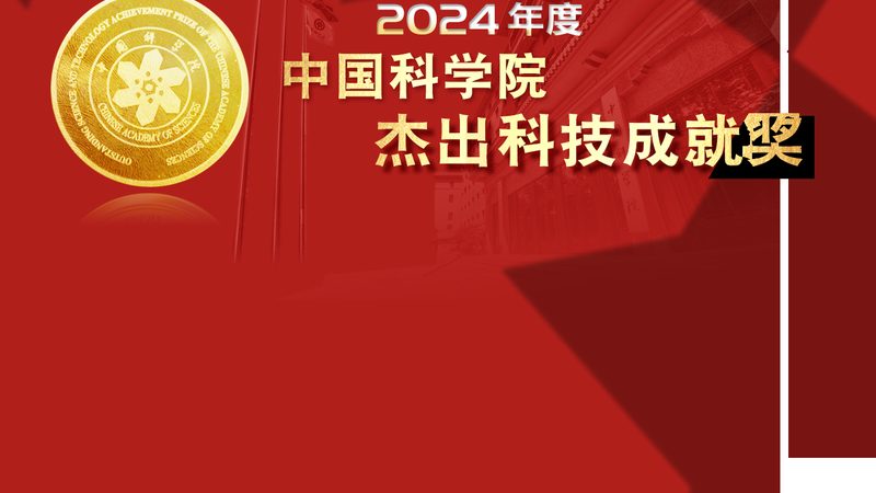 软件测试流程：揭秘高效测试的五大关键环节